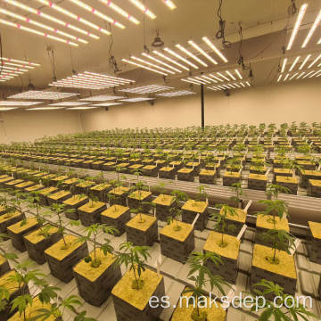 Luces de cultivo LED plantas de espectro completo en interiores